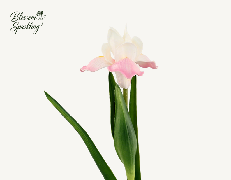 PU Small Iris